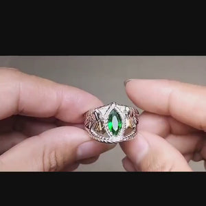 Aragorn Ring Of Barahir  Video